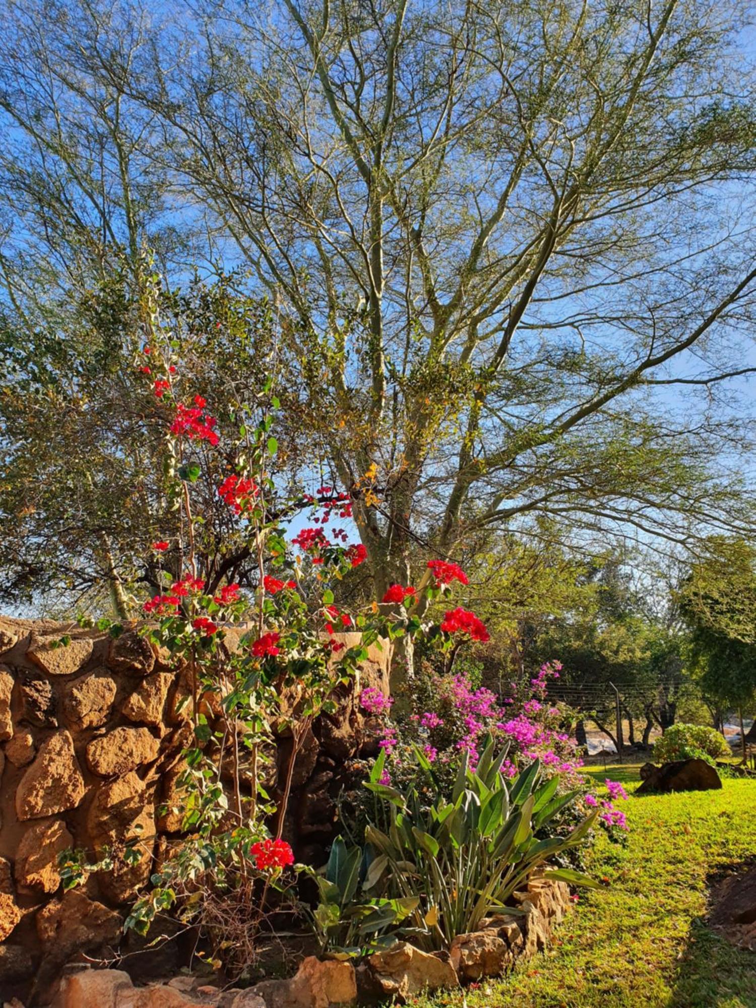 Hasekamp Family Bush Lodge Hoedspruit Exterior foto